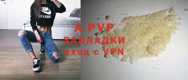 ECSTASY Новозыбков
