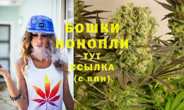 ECSTASY Новозыбков