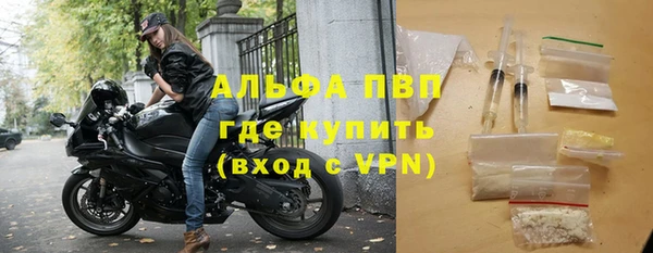 прущие грибы Дмитриев