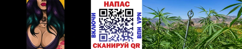 Бошки марихуана план  Курлово 